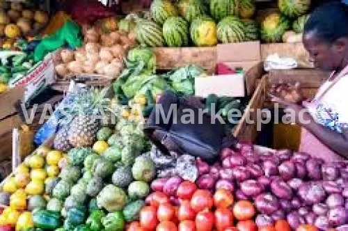 Start Now: Why This is the Best Time to Build Your Business in Kenya