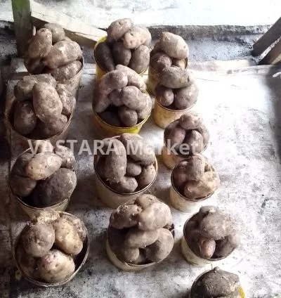 2kg Packed Irish potatoes