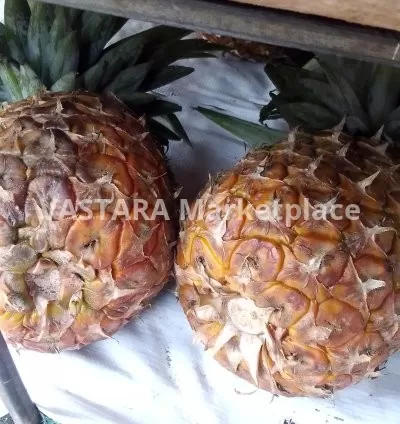Fresh ripped pineapple