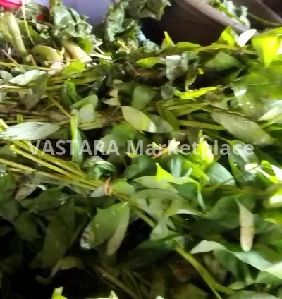 Green vegetable/mitoo