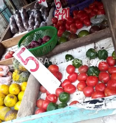 A piece of tomato 🍅, round pepper, round onions