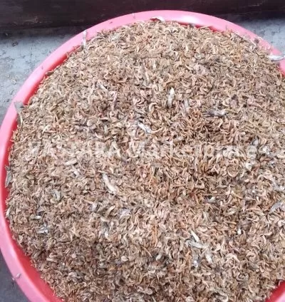 2kg of fresh chicken feed/ochong'a