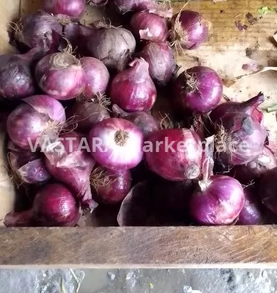 Round onions