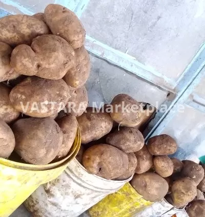 10kg Packed Irish potatoes