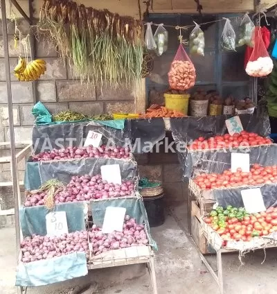 3pcs of tomatoes, onions, round pepper,