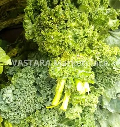 Unique kales/sukumamatumbo