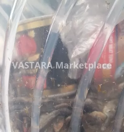 A tin of small fish/Fulu