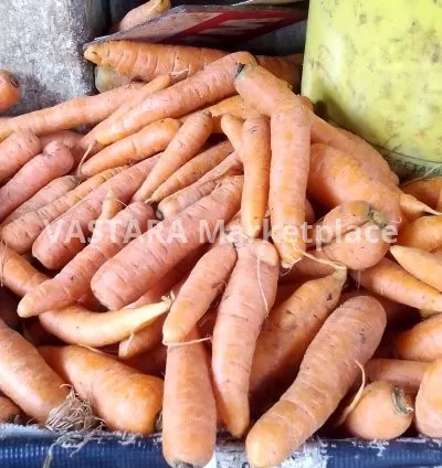 Fresh carrots