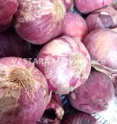 Red onion