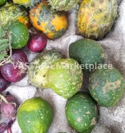 Thorn melon, lemon, onions