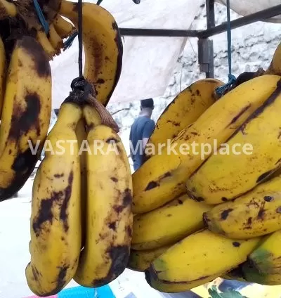 Bananas