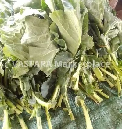 Fresh kales/ sukumawiki