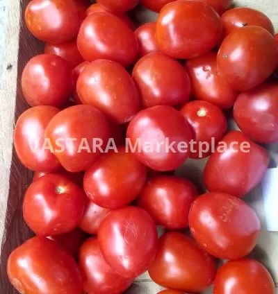 Fresh tomatoes
