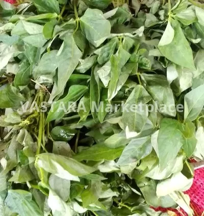 Cowpeas leaves/kunde