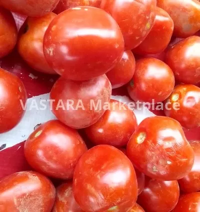Fresh tomatoes