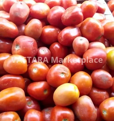 Fresh tomatoes