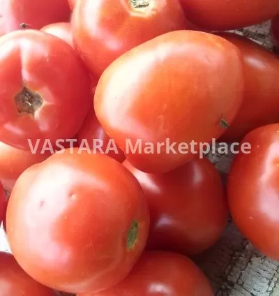 Fresh tomatoes