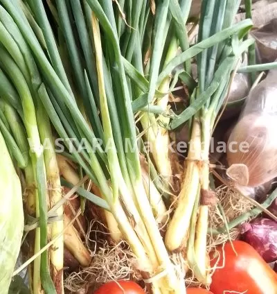 Fresh green onions