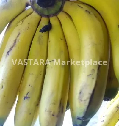 Ripped banana