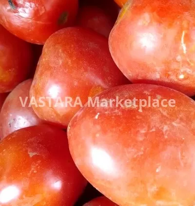 Fresh juicy tomatoes