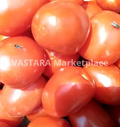 Smart tomatoes