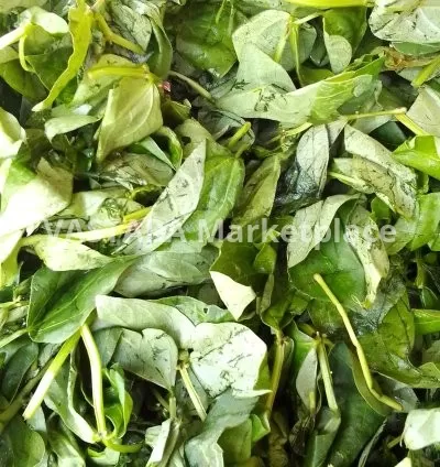 Cowpeas leaves/kunde