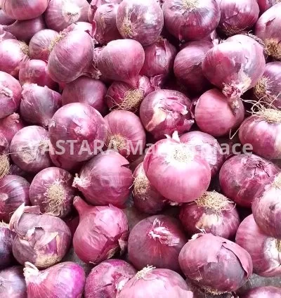 Round onions