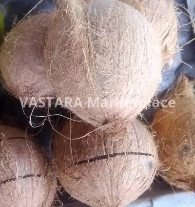 Coconut fruit