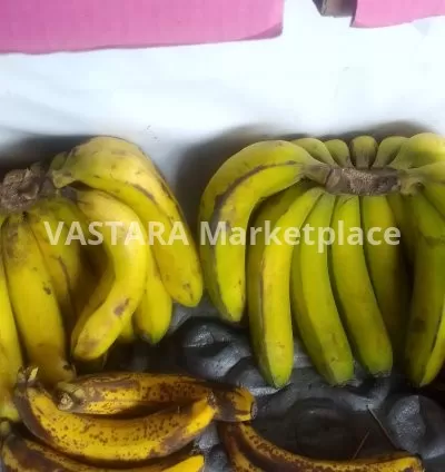 Ripped banana