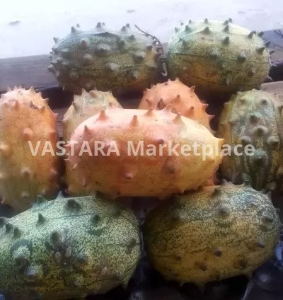 Thorn melon