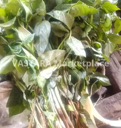 Cowpeas leaves/kunde