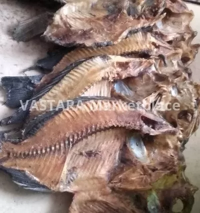 Big size sun dried tilapia fish
