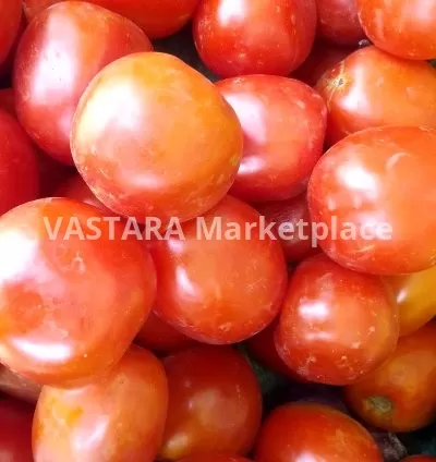 Fresh tomatoes