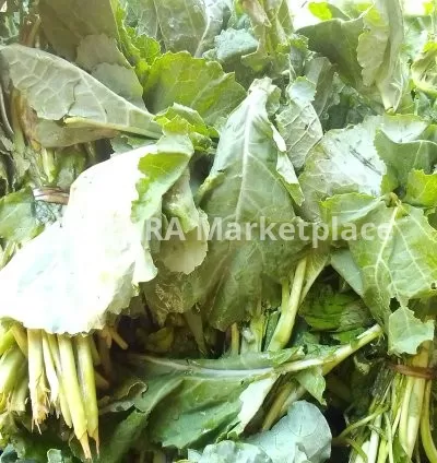 Kanzira / Ethiopian kale