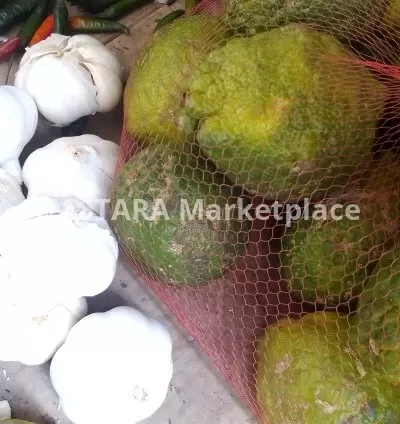 A piece of garlic onion and lemon