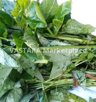 Cowpeas leaves/kunde