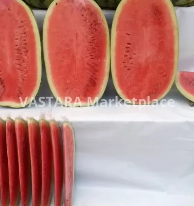 Sliced melon