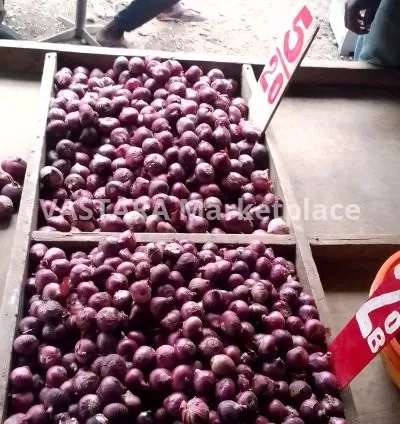 Priced onions of 5 pieces