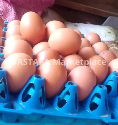 Eggs