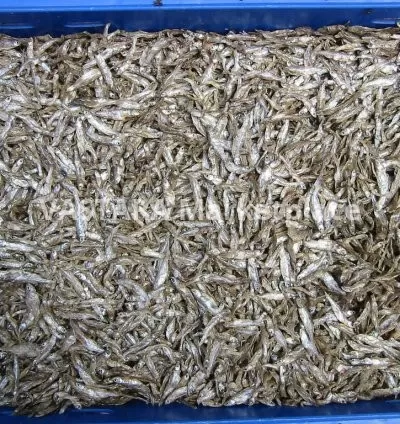 Full basin of omena/dagaa