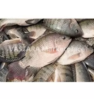 Fresh fish from the lake